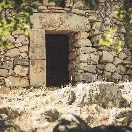 Masseria Storica Pilapalucci Toritto Zewnętrze zdjęcie
